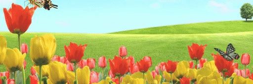 معالي الامور banner