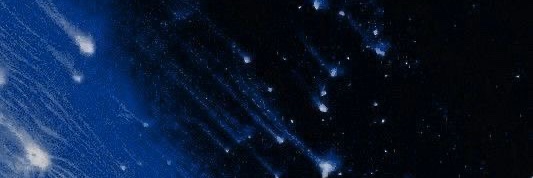 morii banner