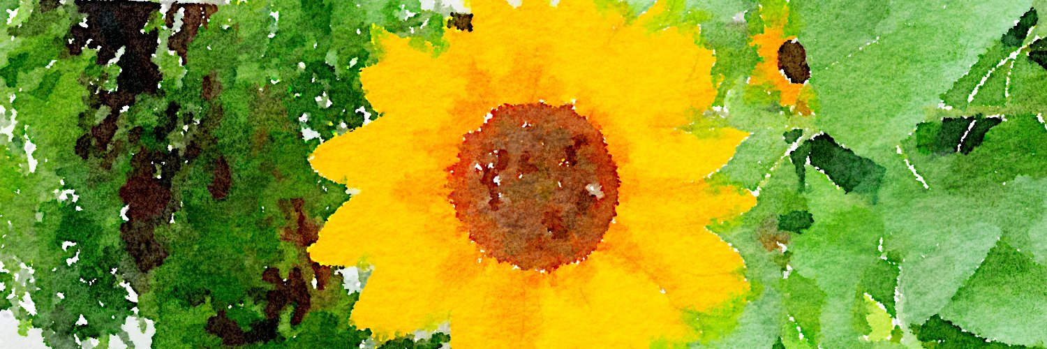 tikyon's profile banner image