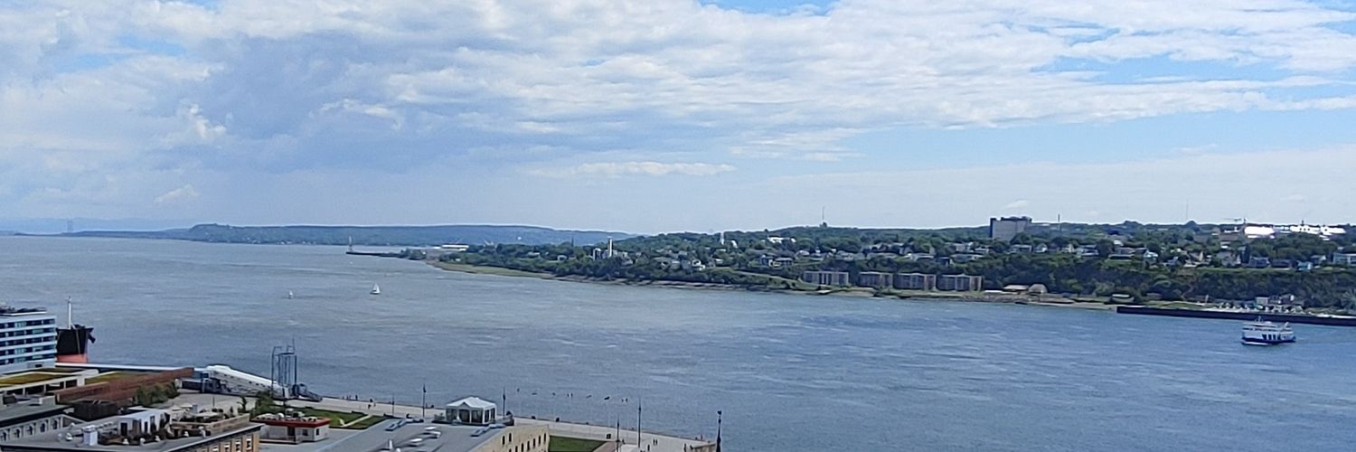 Miawnick's profile banner image