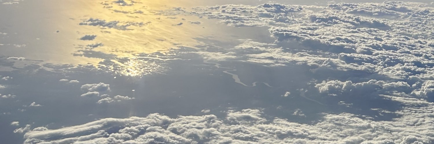 pleasureepup's profile banner image