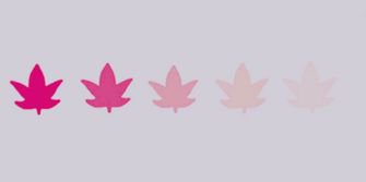 micamylifee's profile banner image