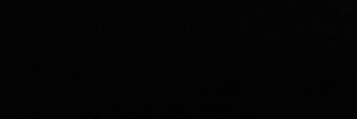 𝘎𝘌𝘙𝘈𝘓𝘋. banner