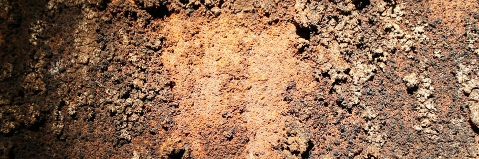 Erna Ómarsdóttir/Valdimar Jóhannsson banner