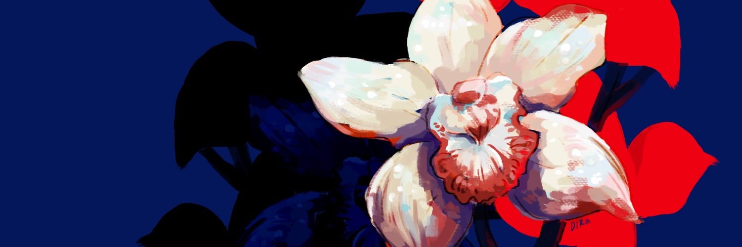 DiR★ banner