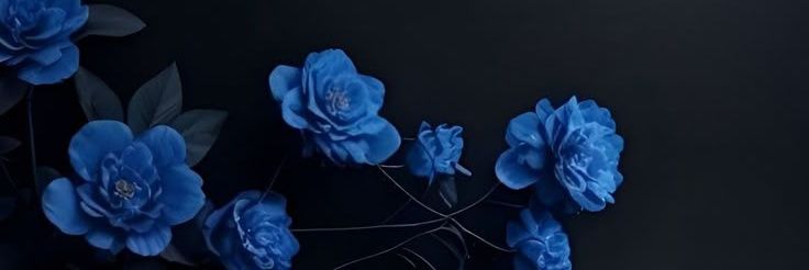 txerys's profile banner image