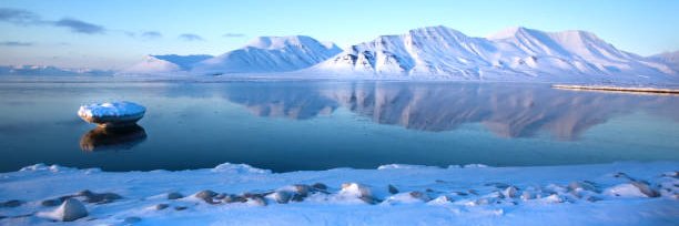 Torbjørn Wikestad banner