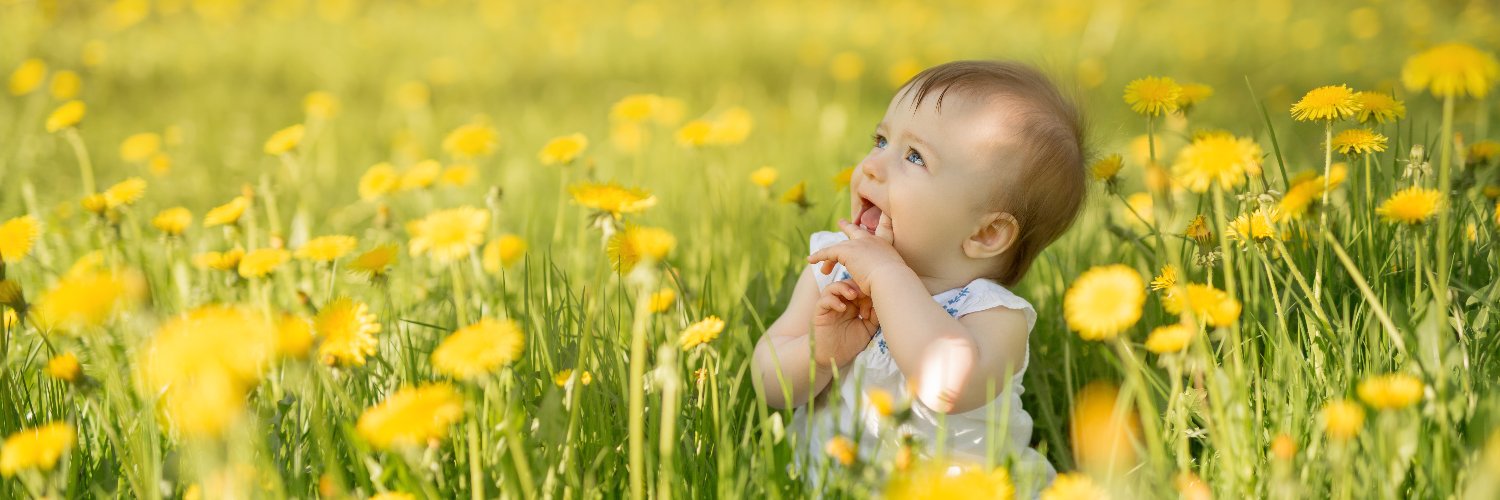 The Parenta Group banner