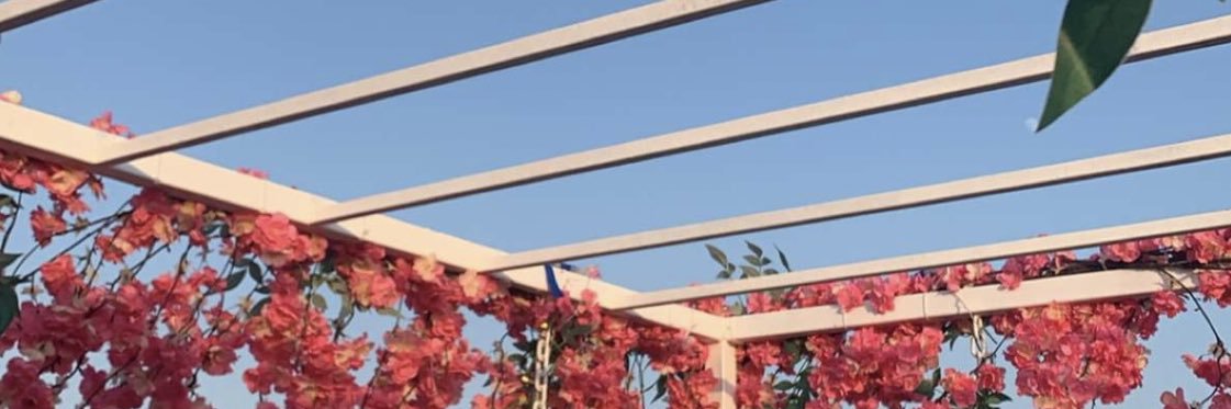jbm3210's profile banner image