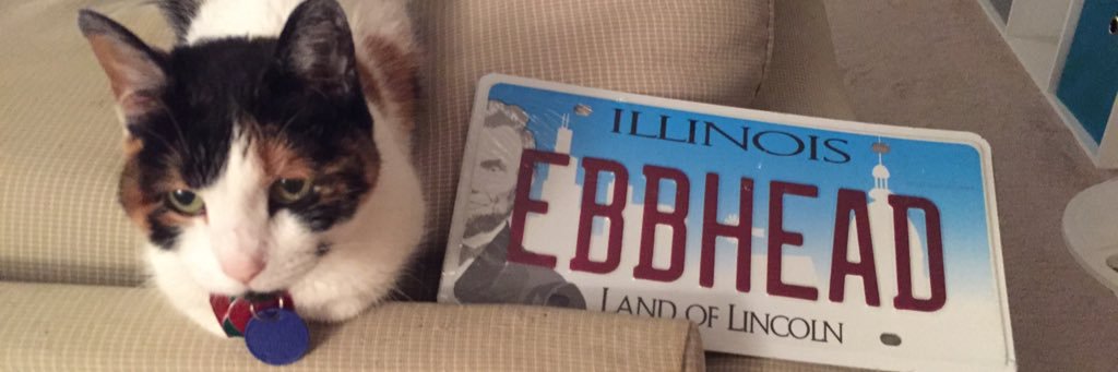 ebbhead1991's profile banner image