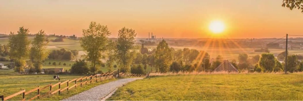 Manu Denaveau banner