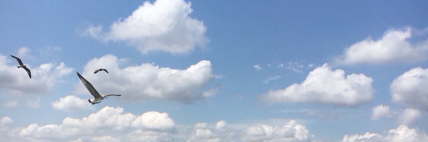 Ayaat Adham | ﮼آيات banner