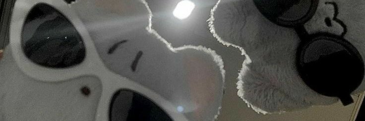 bonnie 🍒 ⋅ ˚✮ banner