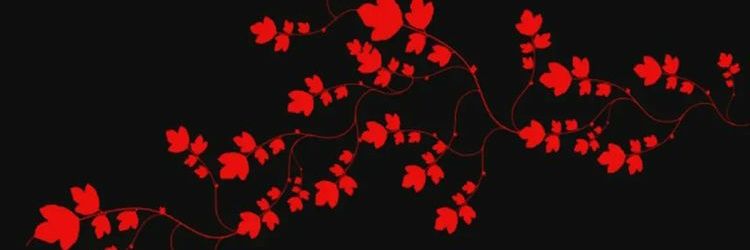 3pid🌼 banner