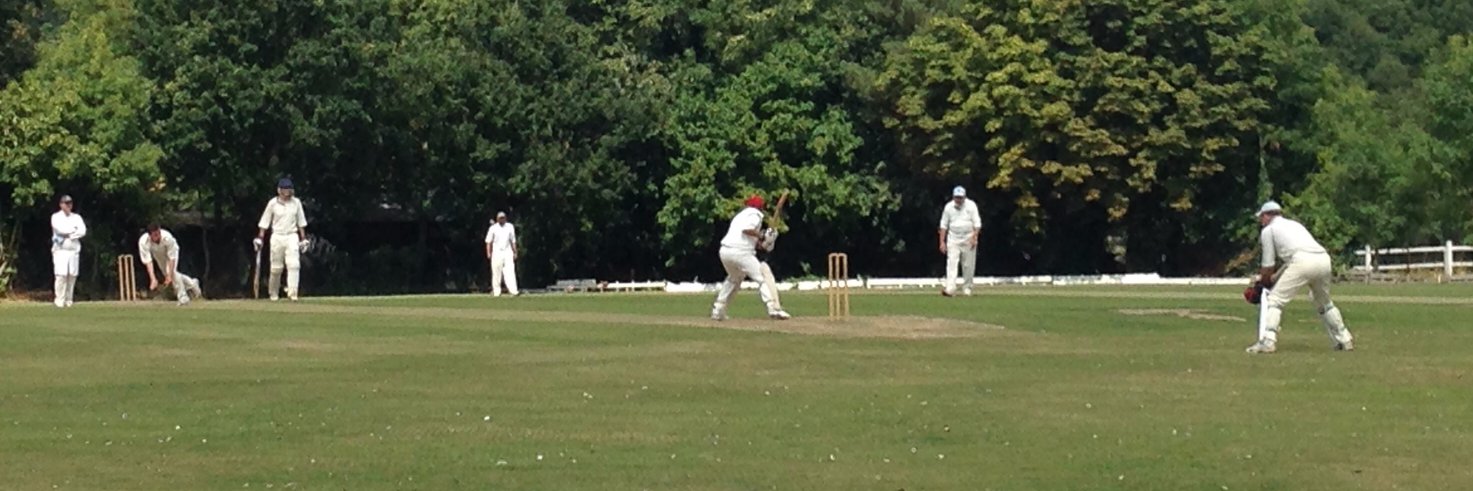N2Cricket's profile banner image