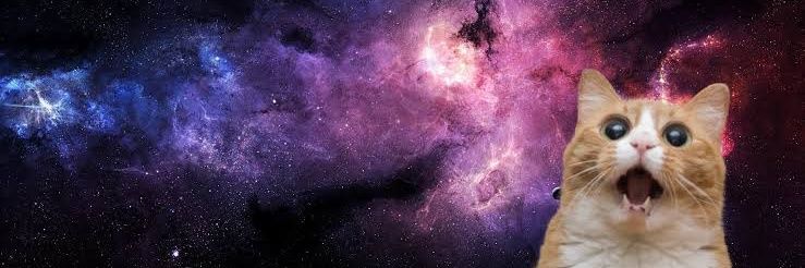 Angela.C.Koala #GG banner