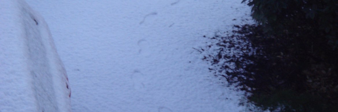 lel banner