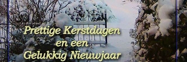 Rick☀️🇳🇱 banner