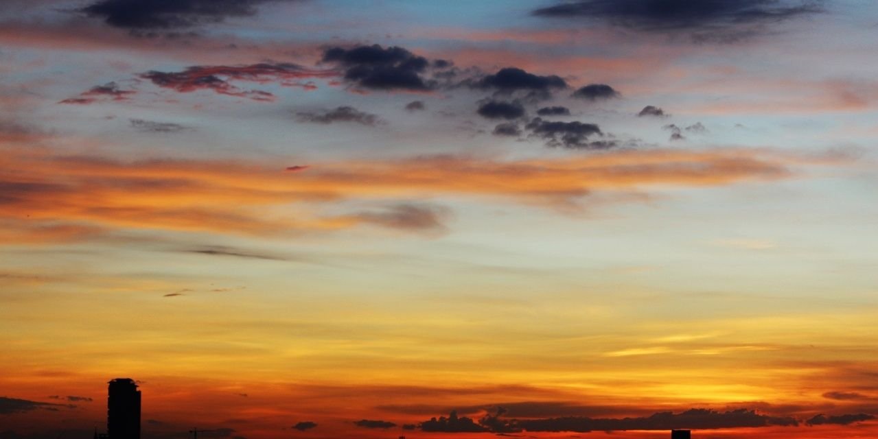 sureeporns's profile banner image
