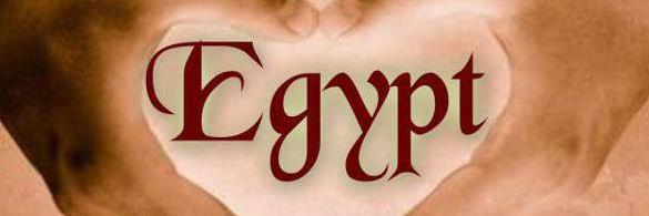 RashaZayed's profile banner image
