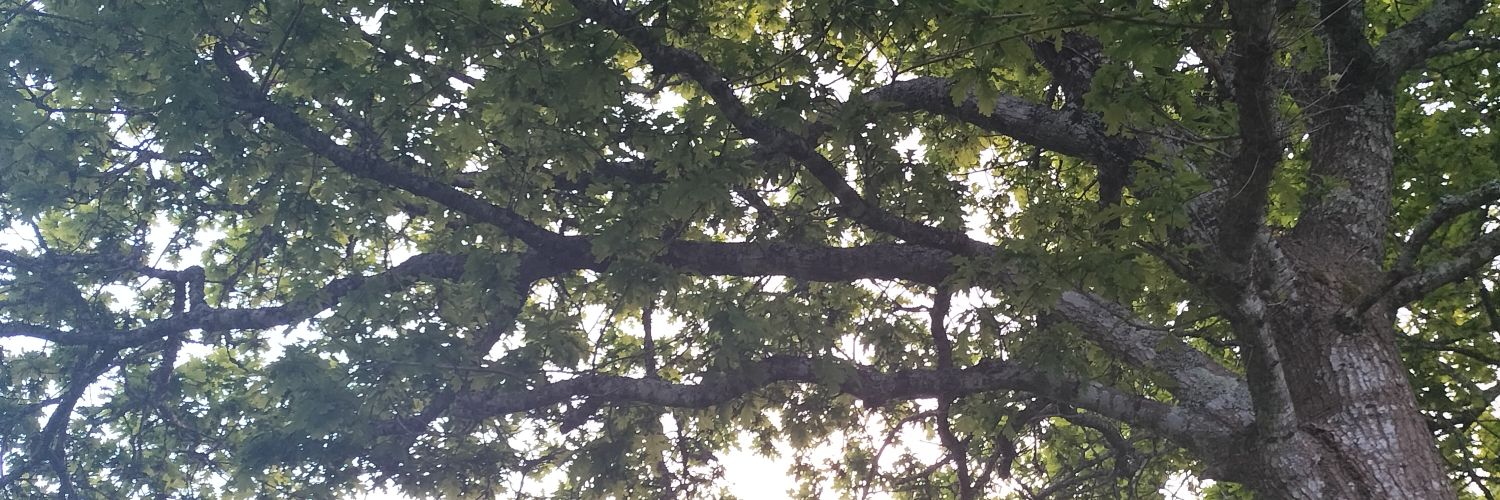 Kenavolesbouseux banner