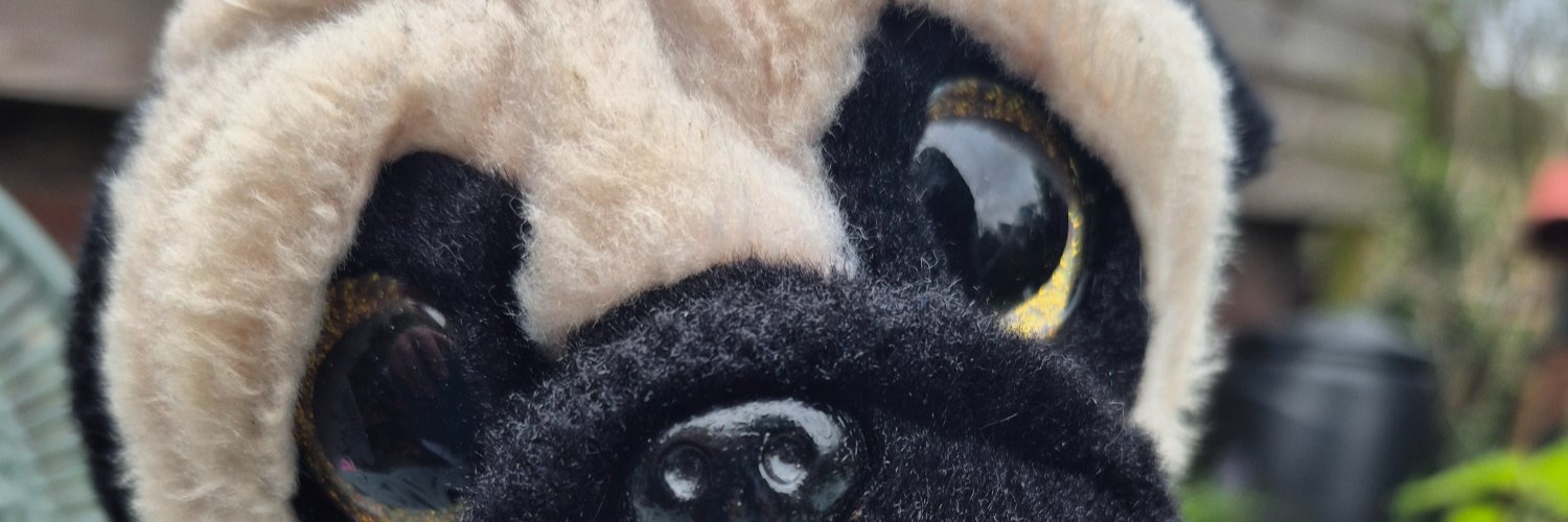 Seesome27's profile banner image