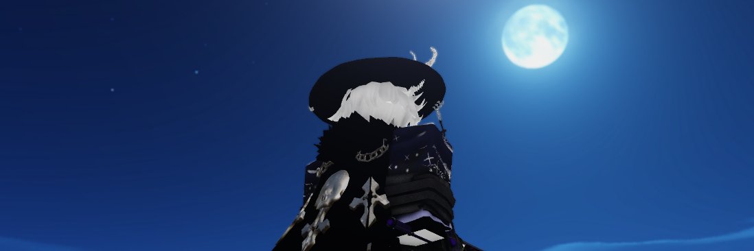 Stary's banner