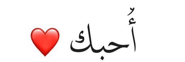 علوشي عشريني سيئون تريم24 banner