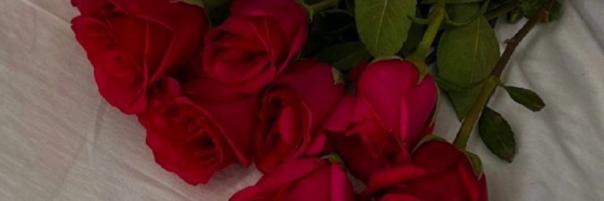 Carolen_a's profile banner image