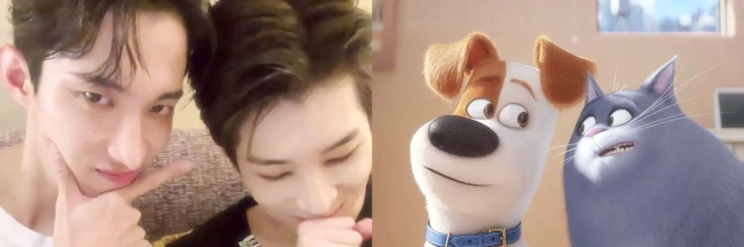dk_pinono0's profile banner image