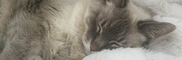 TLGLG Profile Banner