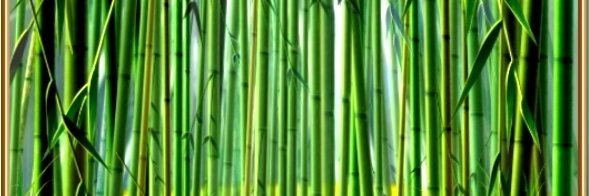 squishy panda banner