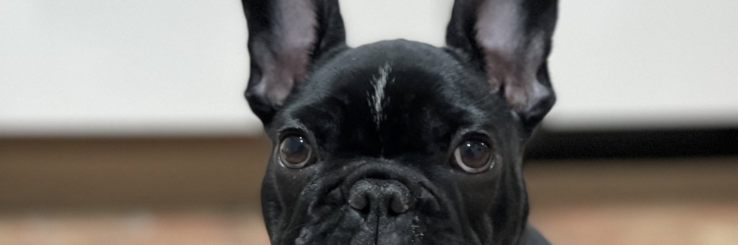 Filoouus's profile banner image