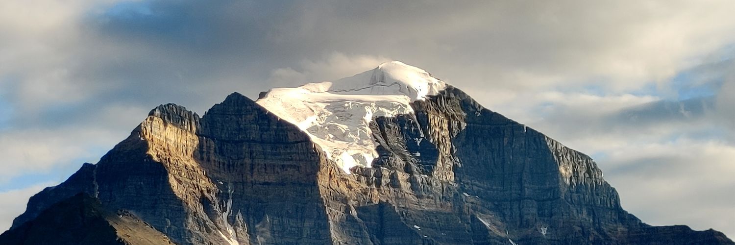 Shawn Foster 🟦 banner