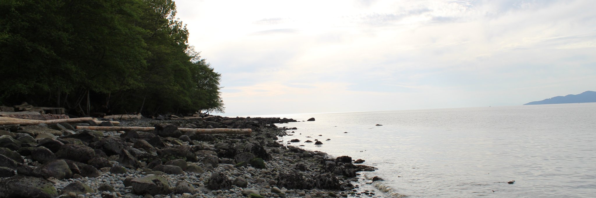 Aldair 涂克旭 banner