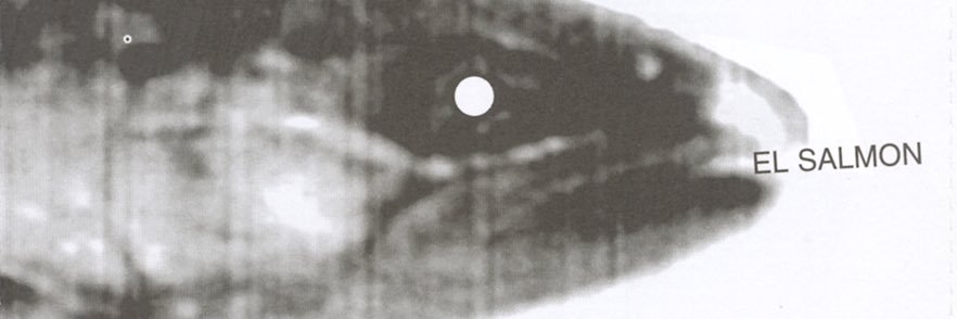teoigrassi's profile banner image