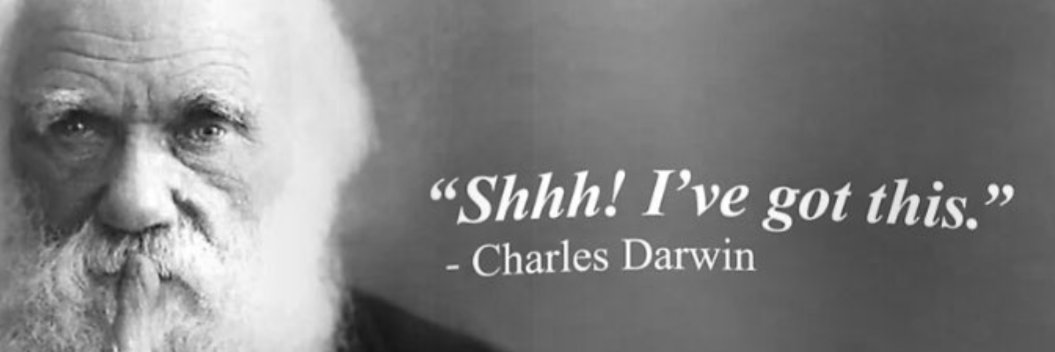 Lyryal 💙 🇺🇸 💙 🇺🇦 💙 🇺🇸 💙 banner