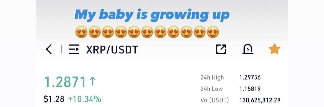 vanliezelent's profile banner image