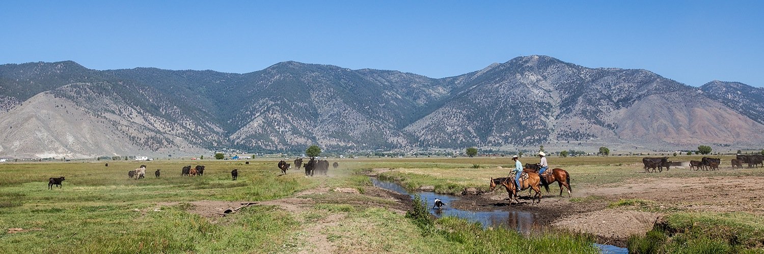 Bently Ranch banner