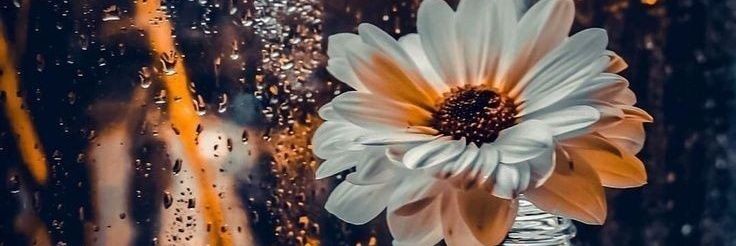 AlePG4521's profile banner image