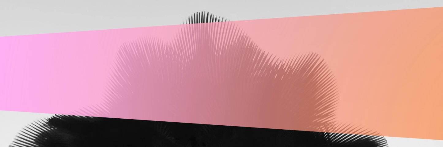 malikotsinas's profile banner image