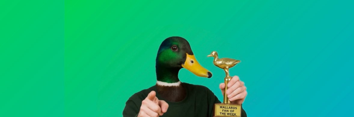 Ballard Mallards banner