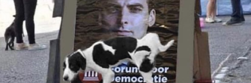 julavdo's profile banner image
