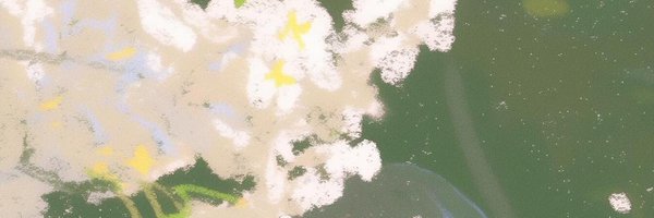 sky9e11 Profile Banner