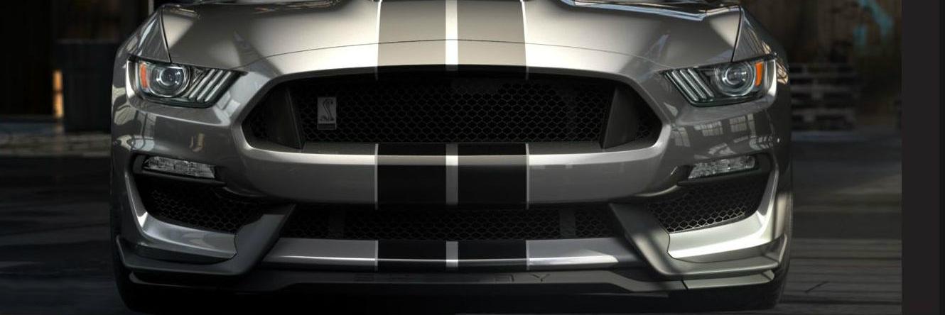 Rose City Ford banner