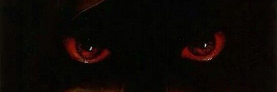 walterectro's profile banner image