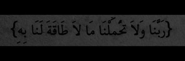 دينا 🌷 banner