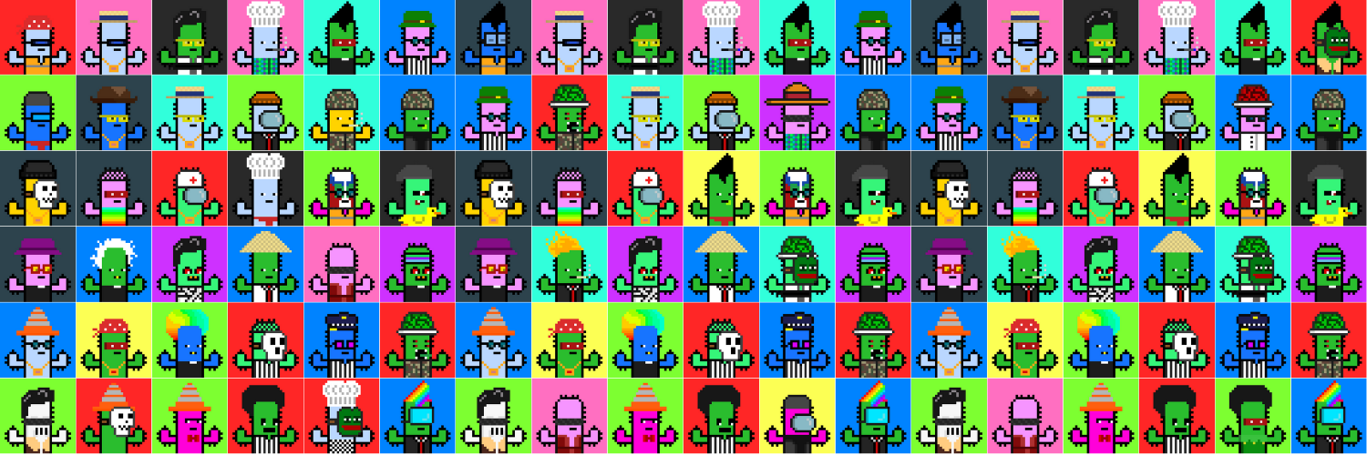 Cactiverse banner