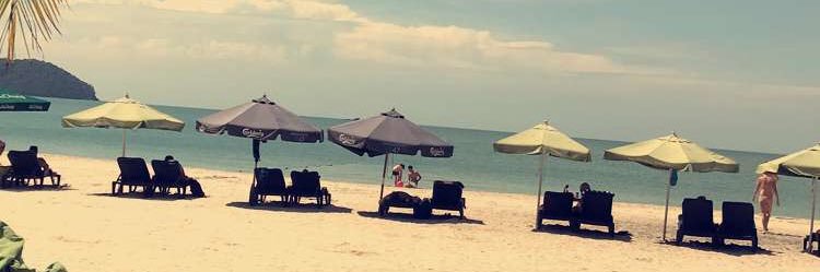 Fredrik Svensson banner