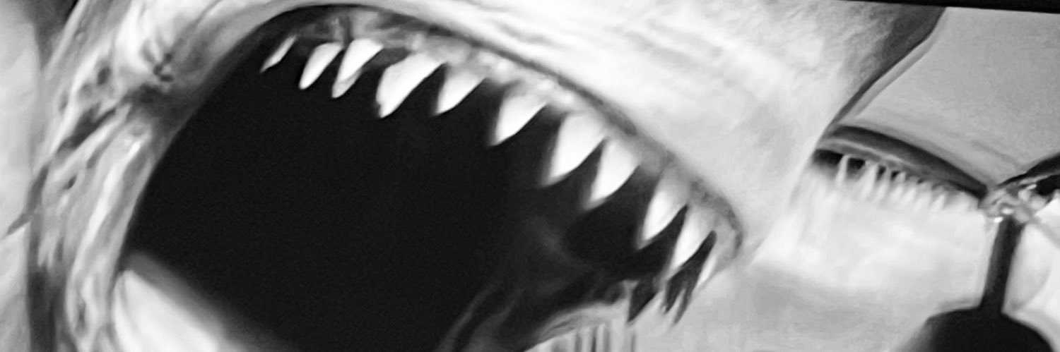 Kathryn E. McGee banner